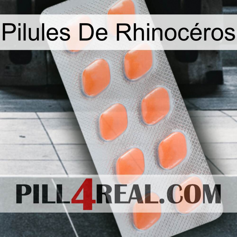 Pilules De Rhinocéros 26
